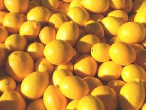 Εκλεψαν 10 κλούβες λεμόνια από χωράφι στο Βέλο Κορινθίας