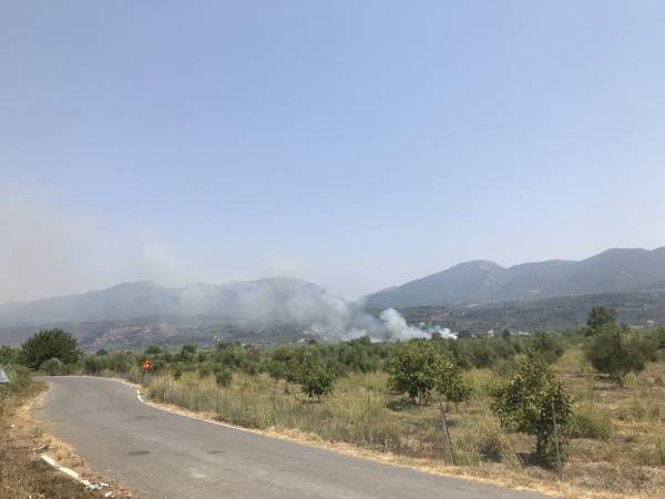 Καλαμάτα: Νέα πυρκαγιά ξέσπασε στο Αριοχώρι