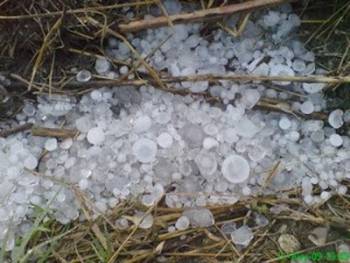 Ισχυρή χαλαζόπτωση στην Ελαία Τριφυλίας