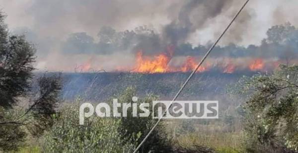 Δεύτερη πυρκαγιά σε 24 ώρες κοντά στην λίμνη Καϊάφα