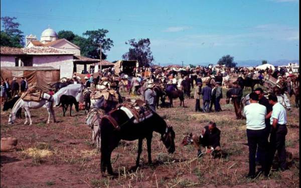 Η ζωοπανήγυρη στη Μεσσήνη πριν 50 χρόνια