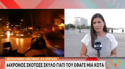 Λαγκαδάς: Σκότωσε σκύλο με λοστό γιατί του έφαγε μία κότα