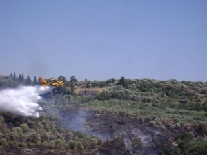 Κάηκαν 30 στρέμματα στη Μεταμόρφωση Πυλίας