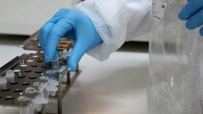 Ευλογιά των πιθήκων: Περισσότερα από 200 κρούσματα έχουν εντοπιστεί σε όλο τον κόσμο