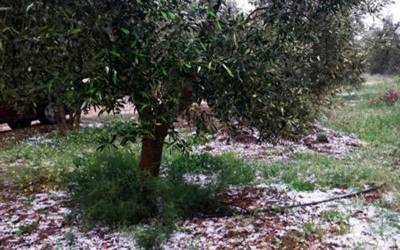 Χαλαζόπτωση και ζημιές στη βόρεια Τριφυλία