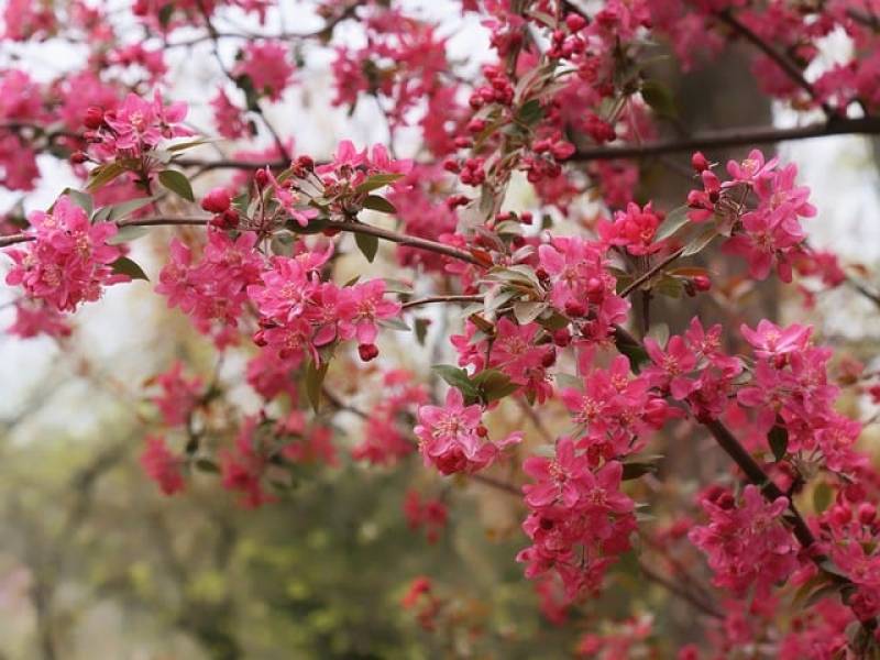 Αστρολογία – 12/12/2023