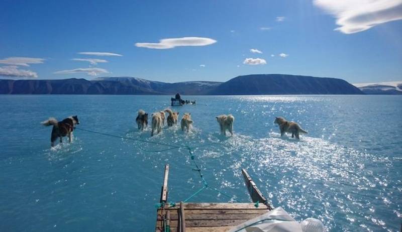 Eλιωσε πάνω από το 40% των πάγων της Γροιλανδίας τις τελευταίες ώρες
