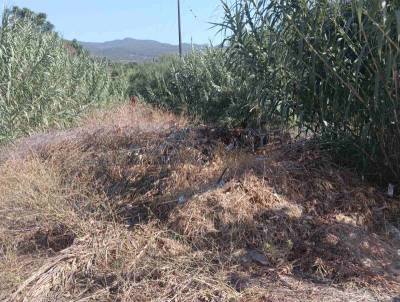 Δέκα χρόνια μετά τις καταστροφικές πλημμύρες της 7ης Σεπτεμβρίου 2016: Δεν έχει ολοκληρωθεί ούτε ένα αντιπλημμυρικό έργο!