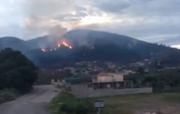 Σε ύφεση η φωτιά στην περιοχή της Τριπύλας στην Τριφυλία (βίντεο)