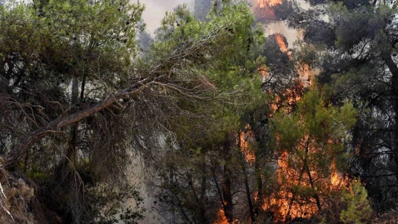 Η συχνότητα και το μέγεθος των ακραίων δασικών πυρκαγιών έχουν διπλασιαστεί τα τελευταία 20 χρόνια