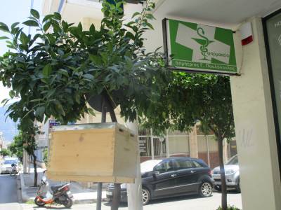 Κυψέλη για να μαζέψουν μέλισσες στο κέντρο της Καλαμάτας