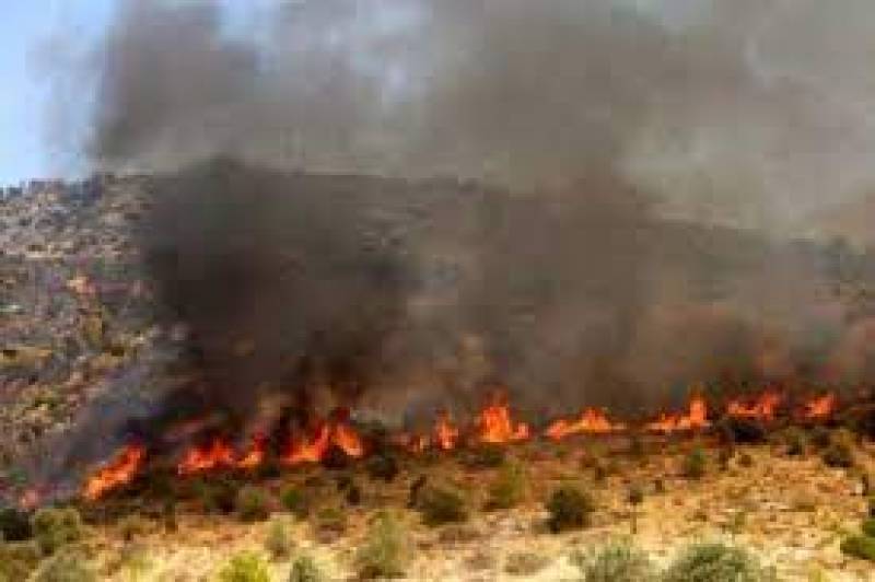 Στη δύσβατη περιοχή της Δεσφίνας το βασικότερο μέτωπο της φωτιάς στην Ανατολική Μάνη