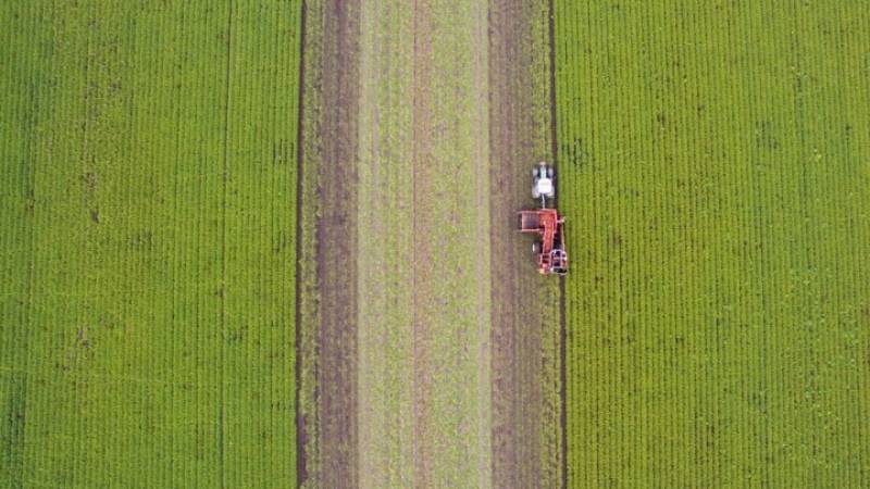 ΟΣΔΕ 2026: Μέσω myAGRO η Ενιαία Αίτηση Ενίσχυσης