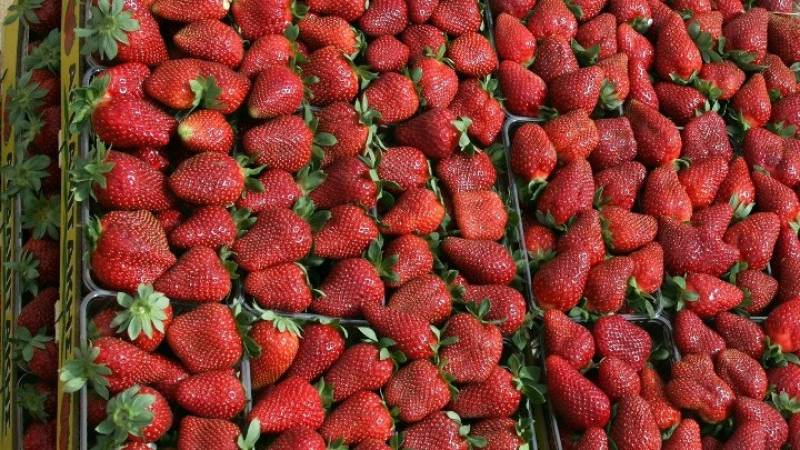 Δέσμευση 1,8 τόνων φράουλας σε επιχείρηση του Πειραιά