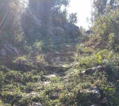 “Φίλοι της Βέργας”: Τα επιτεύγματα της συλλογικής μας δράσης