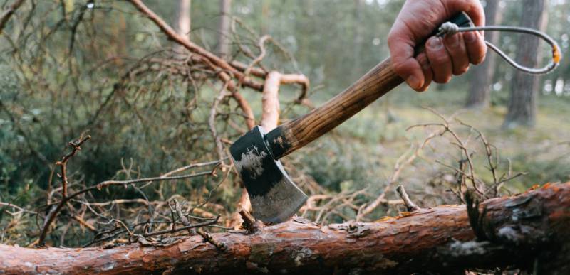 Χαλκιδική: Νεκρός 79χρονος που καταπλακώθηκε από κορμό δέντρου ενώ έκοβε ξύλα