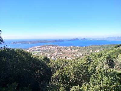 Τα Δασαρχεία καταργούν την ατομική ιδιοκτησία