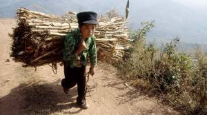 Περού: Πάνω από 100.000 παιδιά εργάζονται ως οικιακοί βοηθοί σε συνθήκες δουλείας
