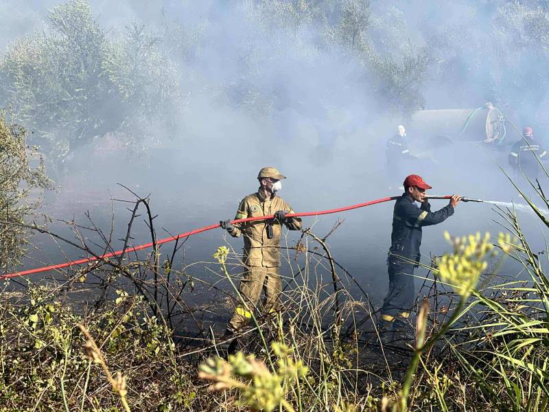 Μεσσηνία: Δύο συλλήψεις για εμπρησμό από αμέλεια στη ΒΙΠΕ Μελιγαλά
