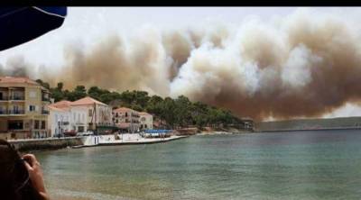 Χρηματοδότηση για τα καμένα δέντρα στο Νιόκαστρο Πύλου