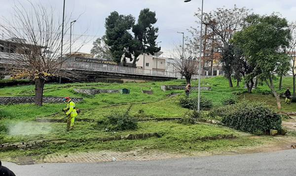 Παρεμβάσεις στο πράσινο της Καλαμάτας