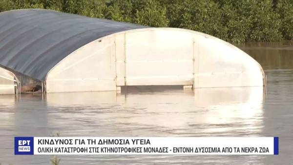Τα μέτρα ανακούφισης των πλημμυροπαθών, που ανακοίνωσε ο Χρ. Τριαντόπουλος (βίντεο)