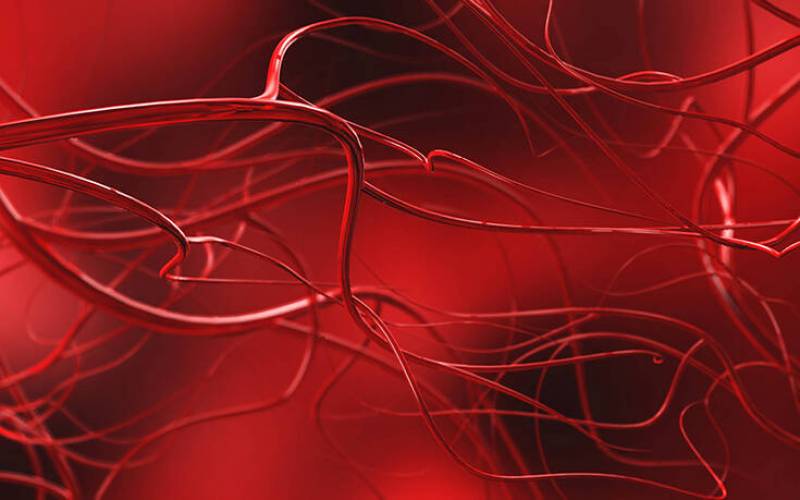 Επιστήμονες έφτιαξαν αιμοφόρα αγγεία σε εργαστήριο
