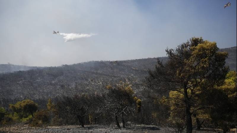 Στο Κανδήλι η μεγάλη μάχη για την πυρκαγιά στη Δυτική Αττική- Μικρή βελτίωση, αλλά όχι εφησυχασμός προς Βίλια