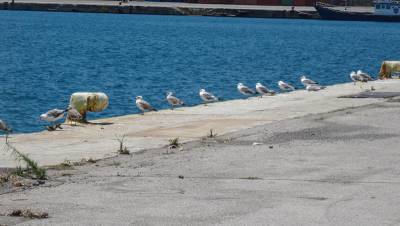 Περιμένοντας… κατάρτια 