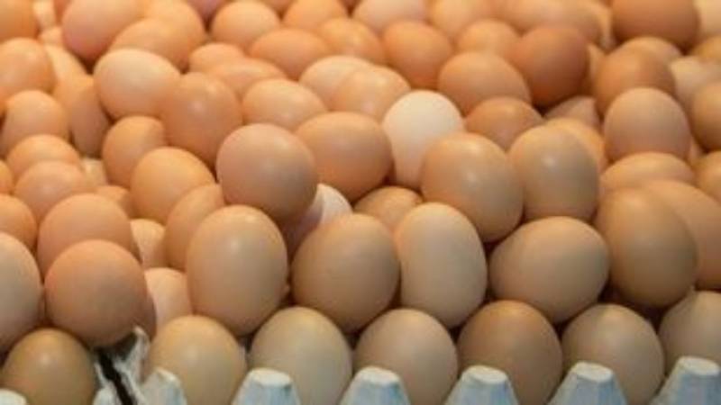 Η ελληνική αυγοπαραγωγή καλύπτει το 70%-80% της εγχώριας ζήτησης – Γ. Λιάρος: Επενδύσεις και κρατική στήριξη το «κλειδί» για την ανάπτυξη