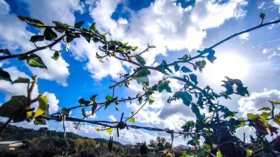 Καιρός: Λίγες τοπικές βροχές και μικρή πτώση της θερμοκρασίας - Αυξημένες συγκεντρώσεις σκόνης (Βίντεο)