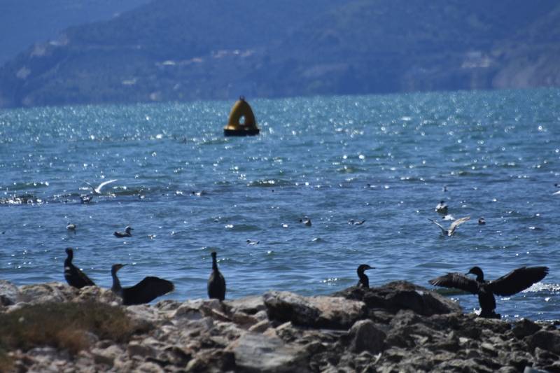 Καιρός: Στα κανονικά για την εποχή επίπεδα βρίσκεται η θερμοκρασία της θάλασσας