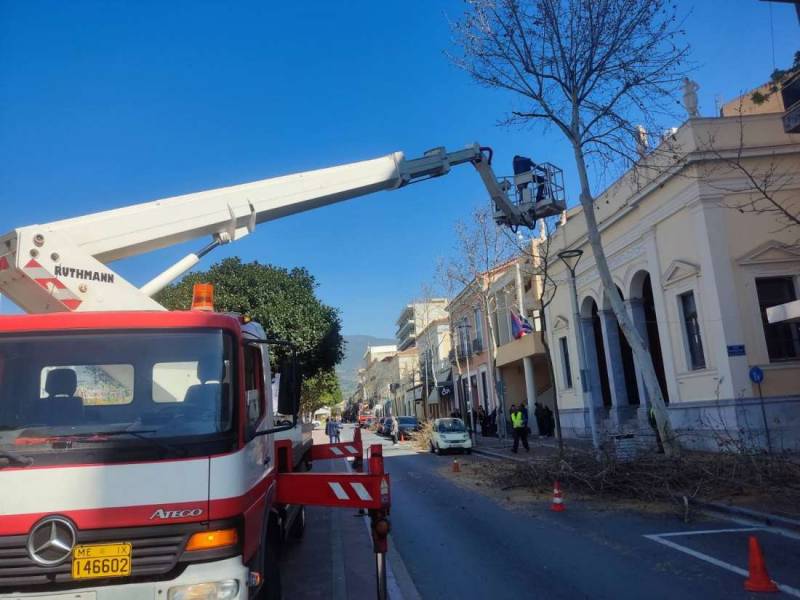 Κλαδέματα στην Αριστομένους