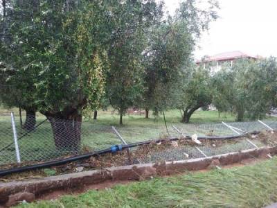 Εκδικάζεται η αγωγή για ζημιές από πλημμύρες στους Γαργαλιάνους
