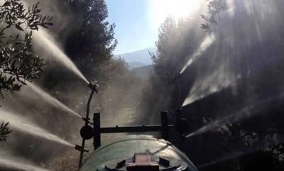 Ψεκασμοί δακοκτονίας σήμερα σε περιοχές της Μεσσηνίας