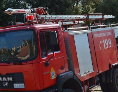 Κάηκαν 50 στρέμματα στο Κάκκαβα Τριφυλίας