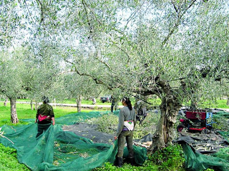 Απάντηση Βρούτση σε Λαμπρόπουλο για το εργόσημο