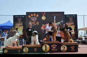 600 σκυλιά στις εκθέσεις  μορφολογίας στην Καλαμάτα (βίντεο και φωτογραφίες)