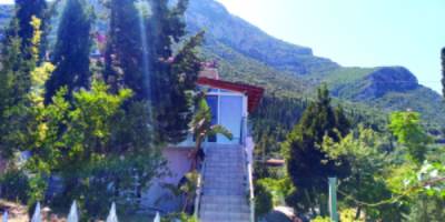 Οικογενειακή τραγωδία στο Στασιό: Σε κρίσιμη κατάσταση νοσηλεύεται η 70χρονη