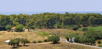 Μεσσηνία: Συνελήφθη με αεροβόλα, τόξο, βέλη και μαχαίρια στην Ελαία