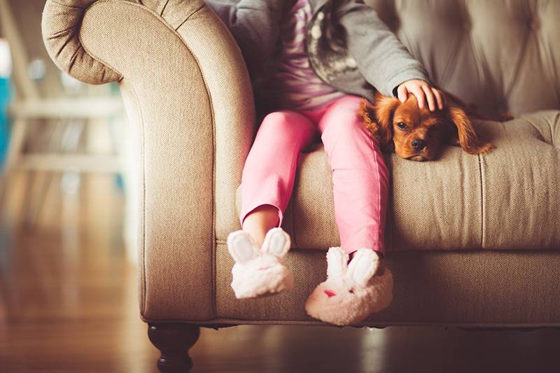 Όσα πιο πολλά τα κατοικίδια ζώα στο σπίτι, τόσες λιγότερες οι αλλεργίες στα παιδιά