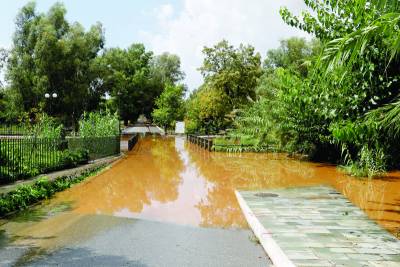 Οι… παντογνώστες και η πραγματικότητα