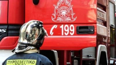 Φωτιά σε αγροτοδασική έκταση στην Αγία Τριάδα Μεσσηνίας
