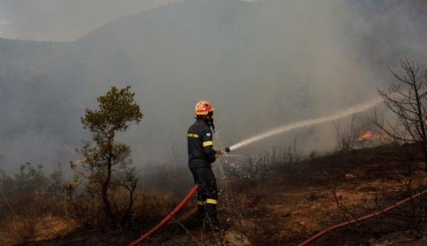 Κεφαλονιά: Υπό κράτηση εποχικός πυροσβέστης που φέρεται να προκάλεσε πυρκαγιές