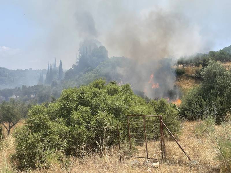 Μεσσηνία: Μεγάλη πυρκαγιά σε ελαιόδεντρα στο Χαρακοπιό