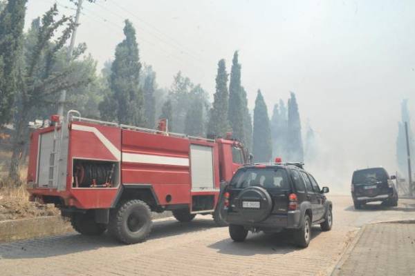 Πυρκαγιά στο Ελληνικό Γορτυνίας