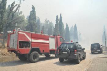 Πυρκαγιά στο Ελληνικό Γορτυνίας