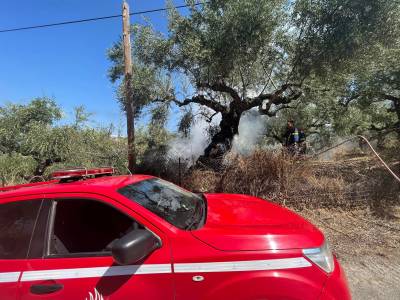 Φωτιά από ανατροπή τρακτέρ στη Μικρή Μαντίνεια - Νεκρός ο οδηγός