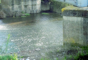 Σύμφωνα με έρευνα του ΕΛΚΕΘΕ: Τα λιόζουμα κύρια πηγή ρύπανσης στα ποτάμια