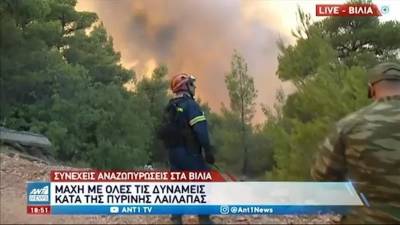 Μάχη με τις διάσπαρτες εστίες στα Βίλια (βίντεο)